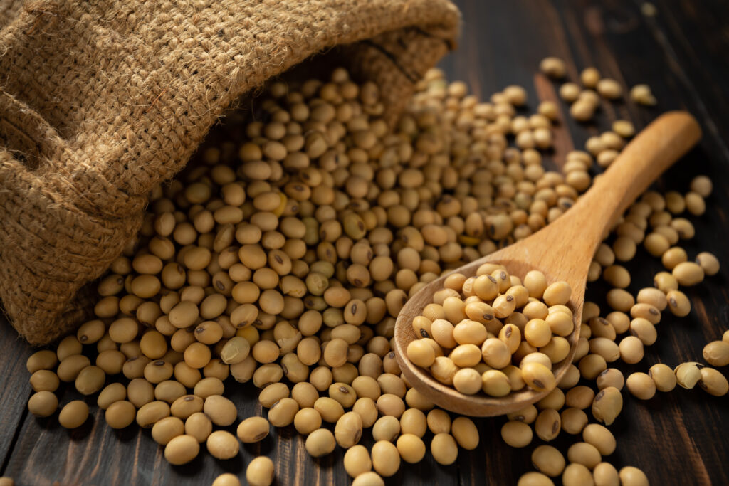 Soy bean on white table background. bougies en cire naturelle